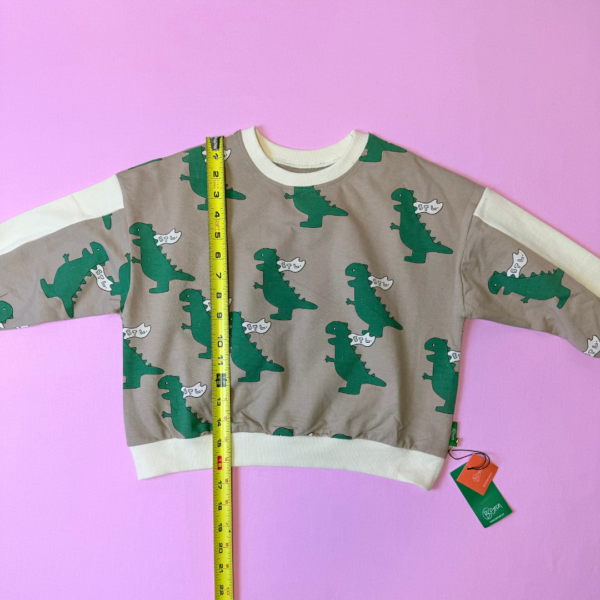 Toddler Matching Set Tyrannosaurus | Size 5T Korean brand Bemon - Image 5